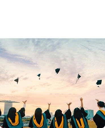 Geniş İçerik Havuzu