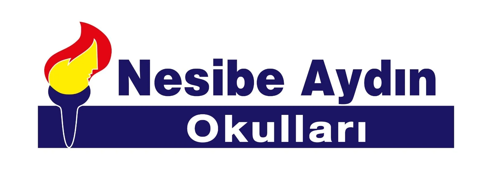 Nesibe Aydın Təhsil Müəssisələri logosu