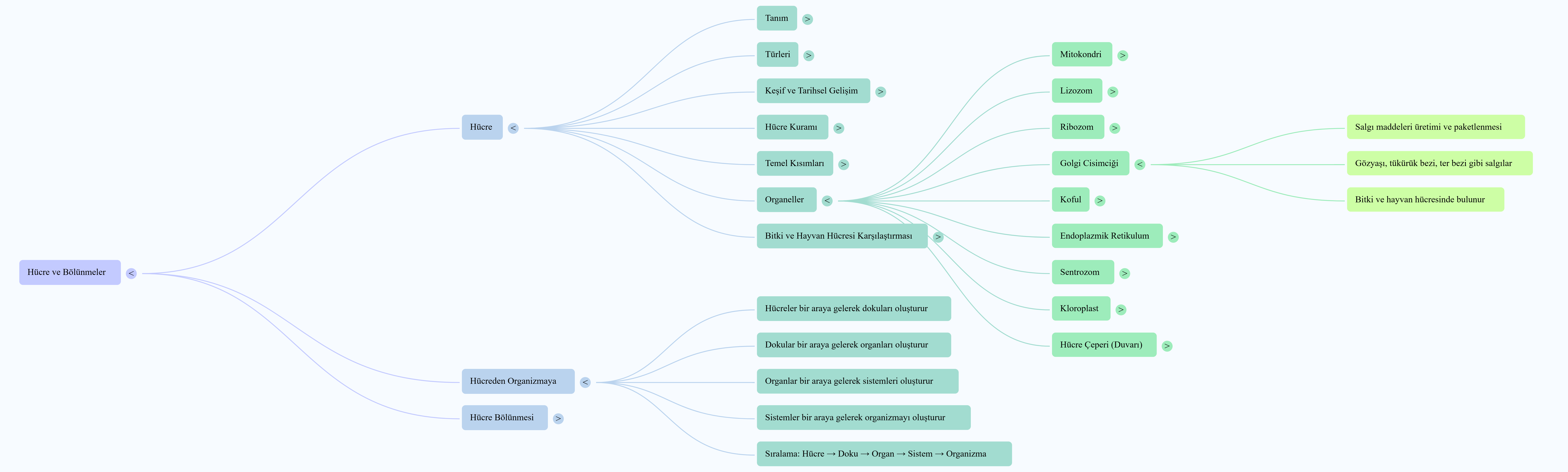 Konu Anlatım Kavram Haritaları - Görsel 1